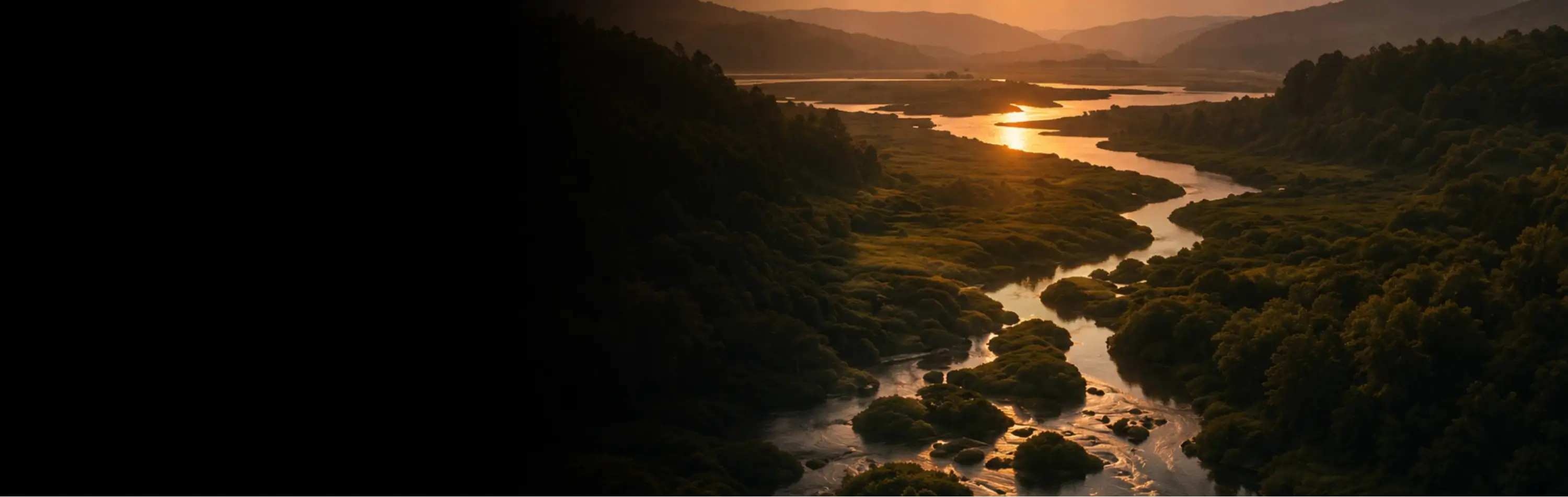 Western Tides